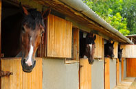 free West Ham stable construction quotes